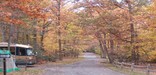 a picture of the Fall colors in the campground